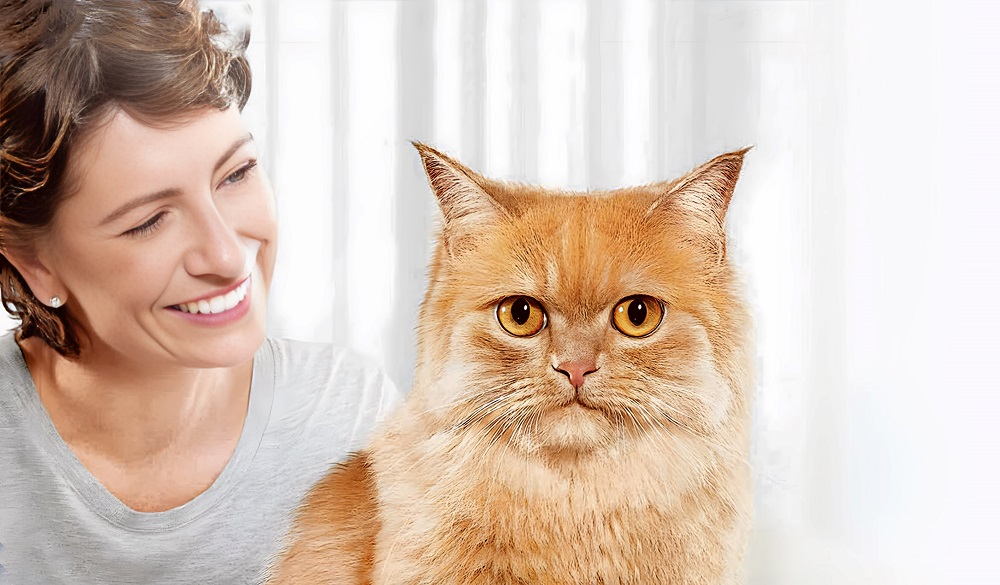 Beneficios y cuidados de la esterilización de tu gato