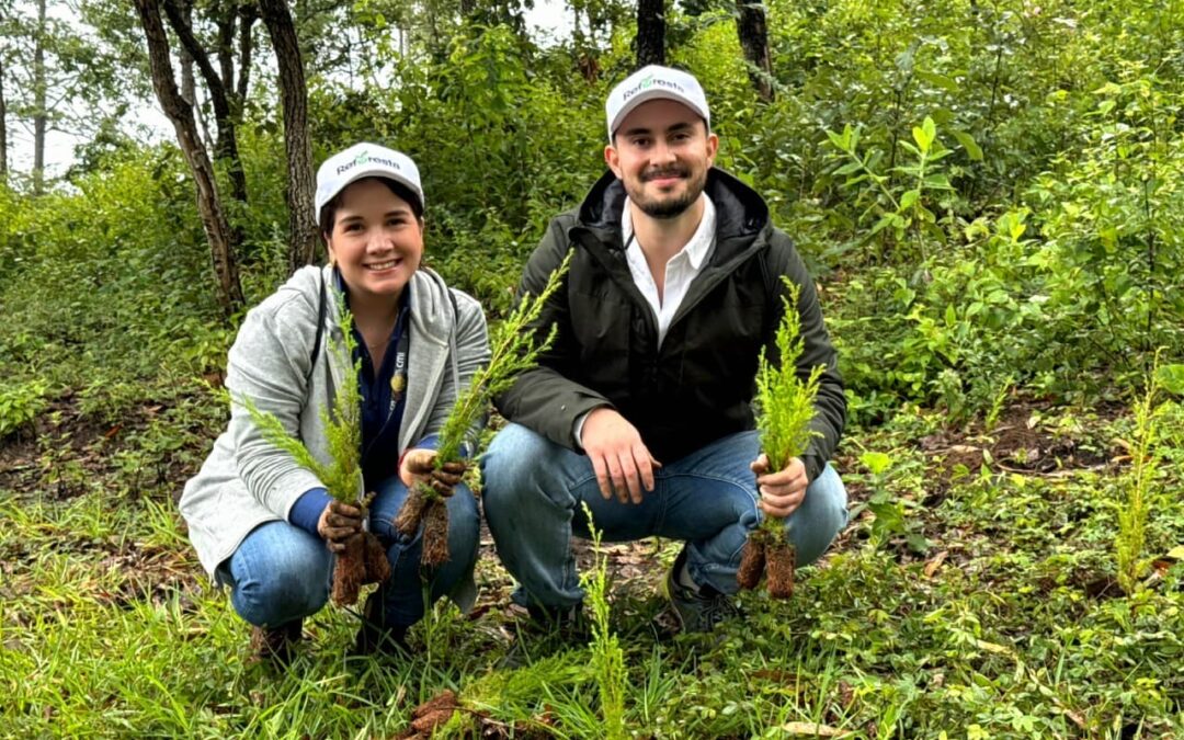 Pradera promueve jornada de reforestación en Chimaltenango